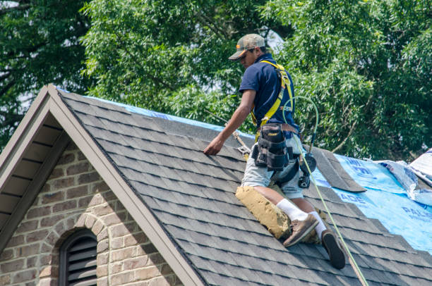 Best Shingle Roofing Installation  in Effort, PA